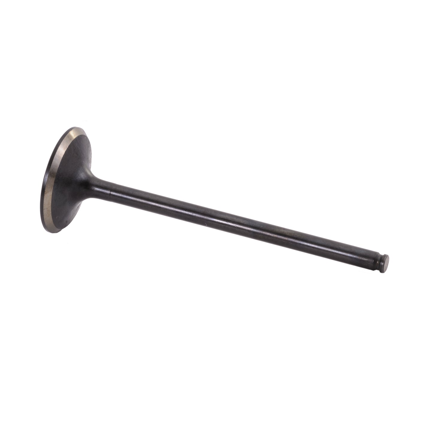 SBT Honda Intake Valve F-12 /F-12X /R-12 /R-12X 14711-HW1-671 2002 2003 2004 2005 2006 ( PRE ORDER )