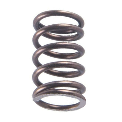 Yamaha OEM Bendix Spring