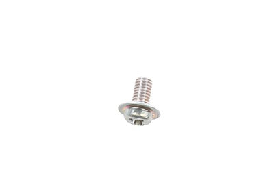 Mikuni Valve Retaining Plate Screw