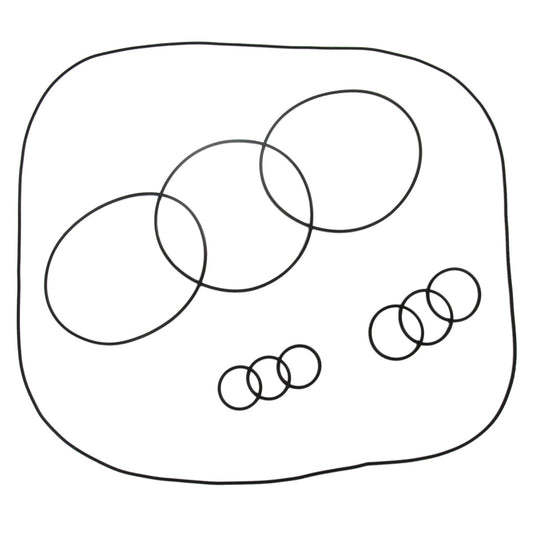 ADA Racing O'ring Kit - Kawasaki 1100